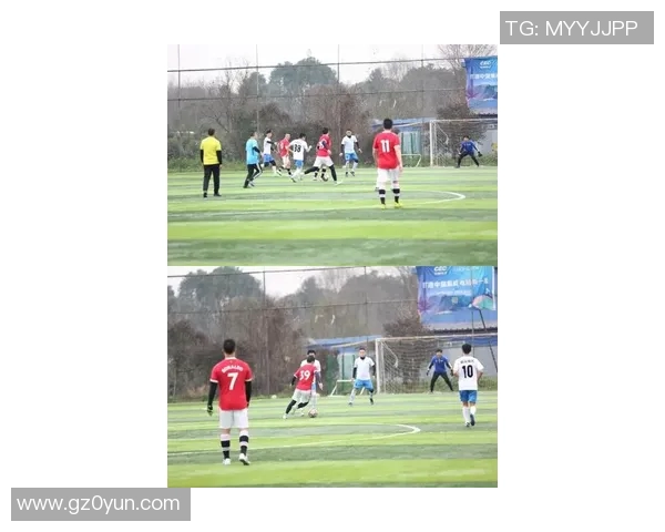 骡子足球比赛精彩视频直播全程在线观看尽享赛事激情与乐趣 骡子足球比赛精彩视频直播全程在线观看尽享赛事激情与乐趣