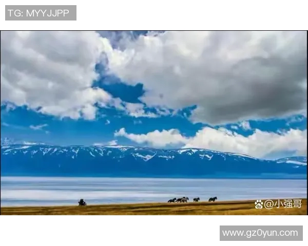 雅尔丁的魅力探寻：揭示自然与人文交融的奇妙之旅