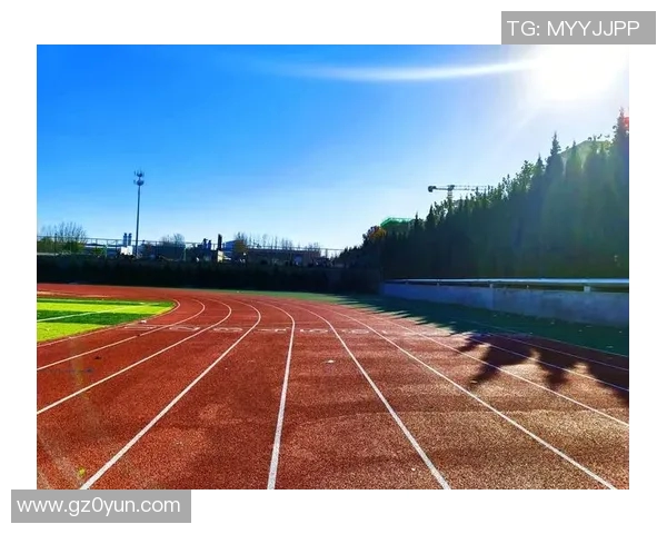 男子百米世界纪录的历史变迁与未来展望探讨