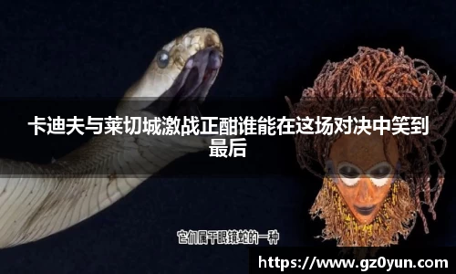 卡迪夫与莱切城激战正酣谁能在这场对决中笑到最后